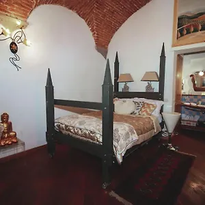 Nest In , Florence Italy